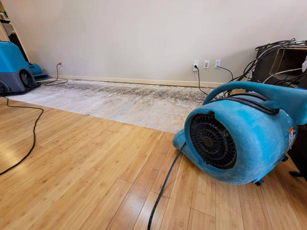 Professional Water Extraction technician working in West Dennis, MA